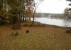 336 Indian Creek Circle, Chapin, SC 29036