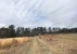 162 Ettas Path Way, Varnville, SC 29944