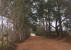 162 Ettas Path Way, Varnville, SC 29944