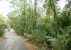 340 Governors Drive, Kiawah Island, SC 29455