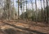 1552 Mack Drive, McConnells, SC 29726